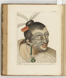 Illustration aus "A journal of a voyage to the South Seas: in His Majesty